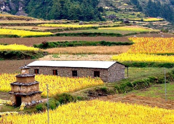 Trek from Deng to Namrung